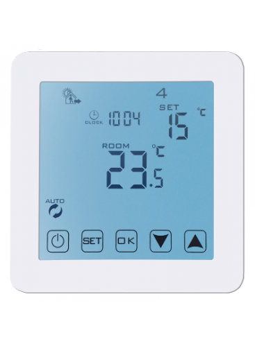 Heatstat Room Thermometer HS500