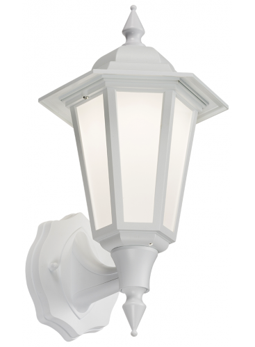White LED Outdoor Wall Lantern (Cool White) 8W (LANT1W)